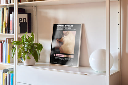 Harry Styles x Harry Styles